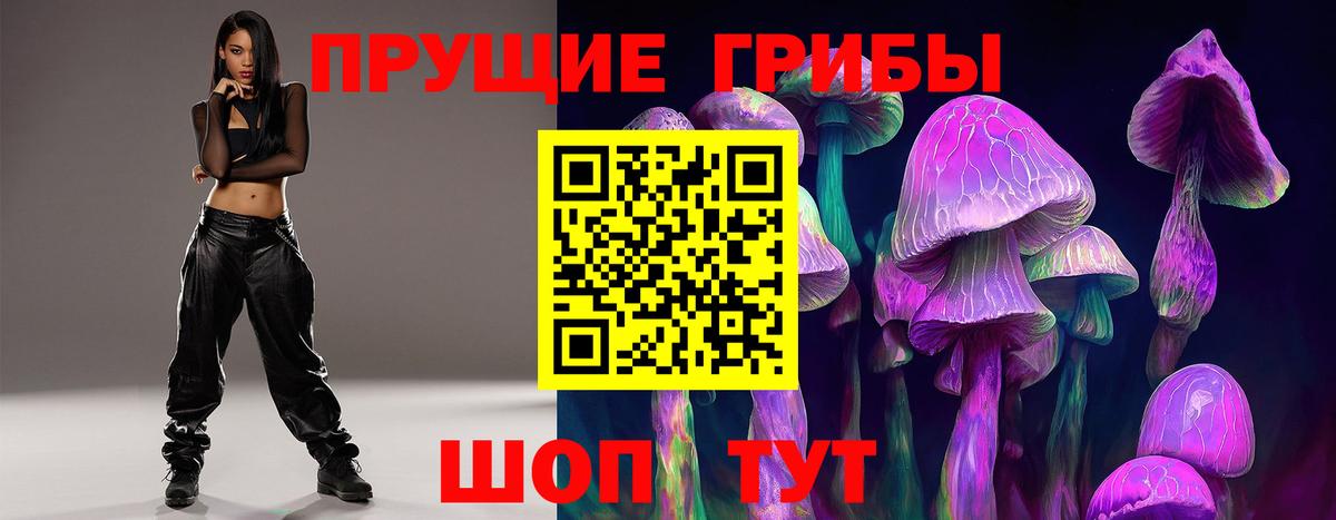 Галлюциногенные грибы мицелий  купить  сайты  Электросталь  Вход с VPN  Псилоцибиновые грибы мицелий 